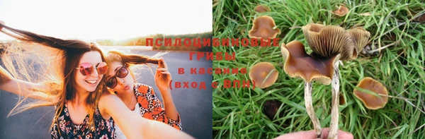 бошки Алексеевка